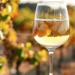 Quels sont les arômes typiques d'un vin de Loire : guide des saveurs