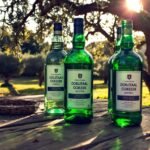 Alcool grec : traditions et spécialités à découvrir