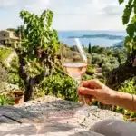 Verre de rosé tenu face aux vignobles méditerranéens