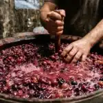 Homme remuant les raisins en fermentation dans un tonneau