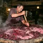 Homme écrase raisins rouges dans grand tonneau bois