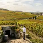 Homme devant cave souterraine dans vignobles vallonnés